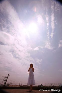 野花免费高清完整在线观看