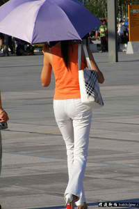 老马的春天顾晓婷