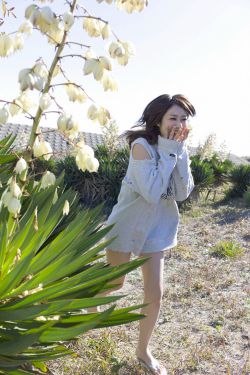 四驱兄弟第二部