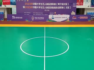 叉叉oo大香蕉