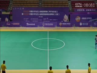 欧美视频你懂的免费看