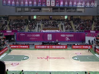 成人人妻视频日韩