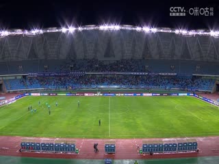 最美毛片录像视频在线