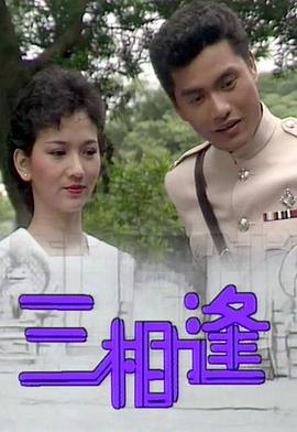 久久无码破解视频